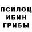 Галлюциногенные грибы Psilocybe Jina Bay