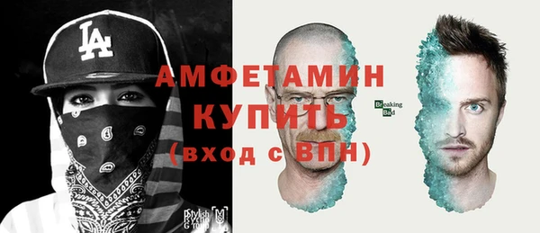 ГАЛЛЮЦИНОГЕННЫЕ ГРИБЫ Аркадак