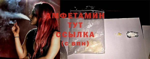 ГАЛЛЮЦИНОГЕННЫЕ ГРИБЫ Аркадак