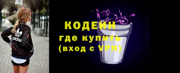 ГАЛЛЮЦИНОГЕННЫЕ ГРИБЫ Аркадак
