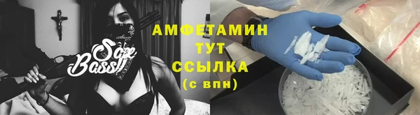 ГАЛЛЮЦИНОГЕННЫЕ ГРИБЫ Аркадак