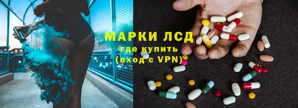 ГАЛЛЮЦИНОГЕННЫЕ ГРИБЫ Аркадак