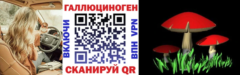 Псилоцибиновые грибы Psilocybine cubensis  Ртищево 